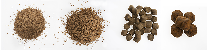Fish feed production line